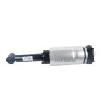 L320 Shock Absorber Front RNB501580 RNB501180