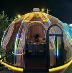 Hot Sale Modern Style Dome-shaped Outdoor Mobile Starry Bubble House Green PC