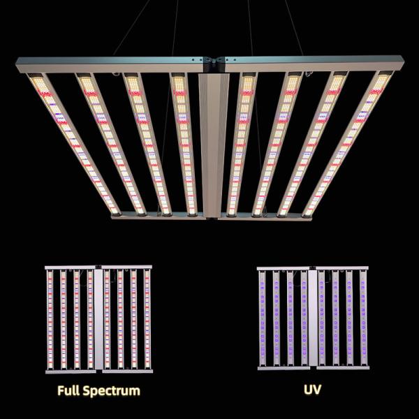 Buy cheap 850W 2 Channel Dimmable Grow Lights For House Plants Full Spectrum LED Grow Lights For Indoor Plants CE ROHS Certified from wholesalers