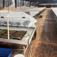 Buy cheap Metal Frame Hothouse Vegtable Hoop House High Tunnel Greenhouse with Rolling product