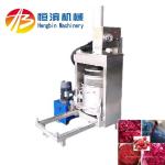 304 Stainless Steel Hydraulic Cold Press Juicer for Commercial of Grape and