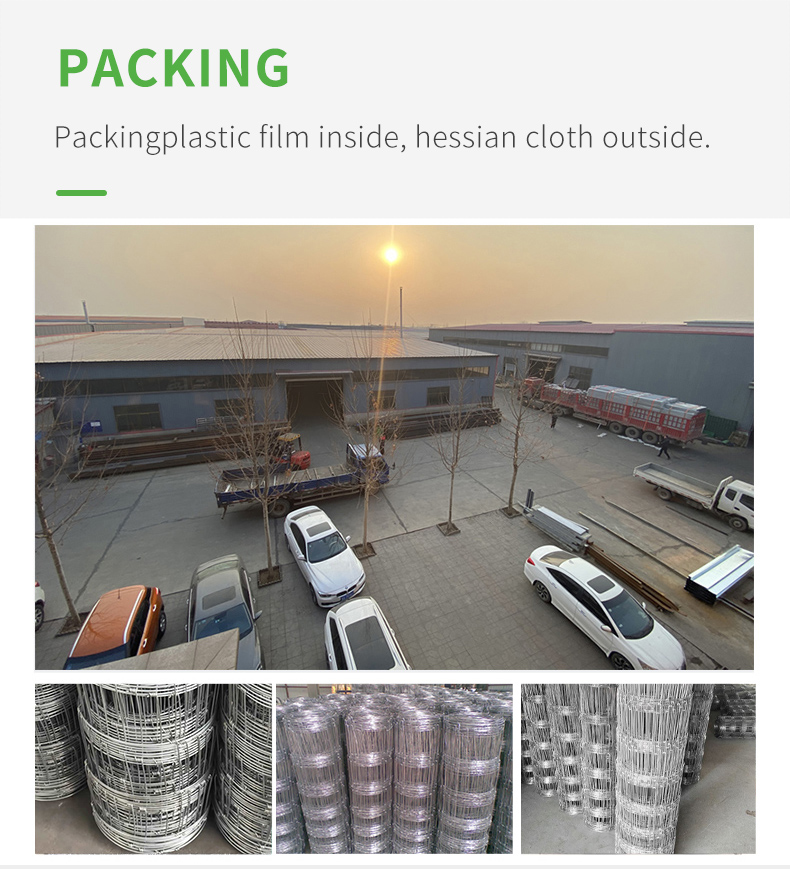 Latest Design Superior Quality Cattle net pasture fence angle iron post guardrail net circle cattle net galvanized wire fence