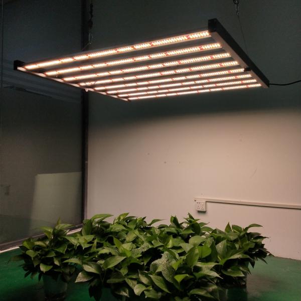 Buy cheap 640 w 2.8umol/J HPS Grow Lamp Replacing Indoor Waterproof Grow Light from wholesalers