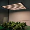 Buy cheap 640 w 2.8umol/J HPS Grow Lamp Replacing Indoor Waterproof Grow Light from wholesalers