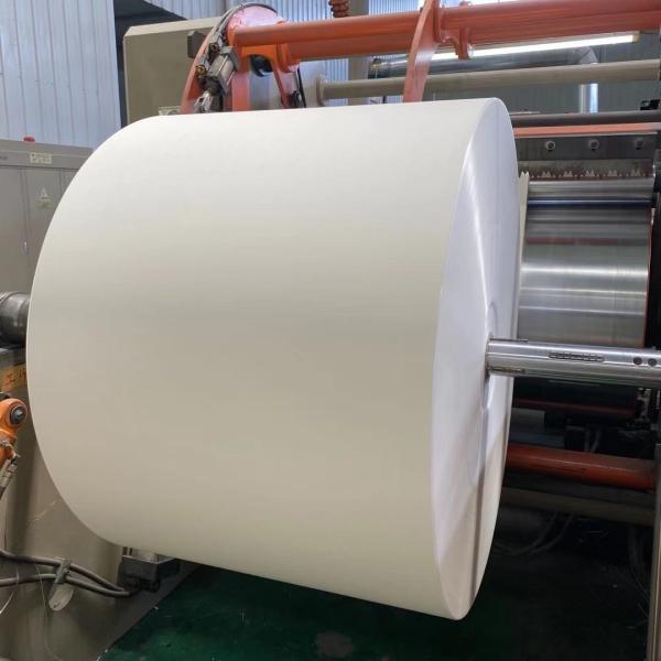 Buy cheap White 270 Gram Ivory Board Paper Roll from wholesalers