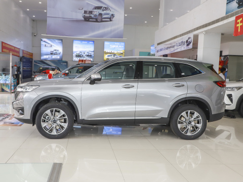 used cars new SUV cars for Haval H6 2023 DHT-PHEV 110km Happy Travel Edition enjoy Best sales factory electric energy adults