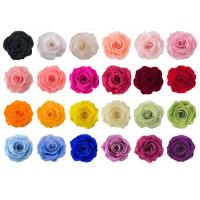 Buy cheap OEM ODM 60+ Colors Real Preserved Roses For Valentine'S Day product