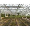 Buy cheap Commercial Glass Greenhouse , Hydroponic Greenhouse With Climate Control System from wholesalers