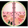 Buy cheap Reusable 11 Wells Watermelon Slice Cosmetic Eyeshadow Palette from wholesalers