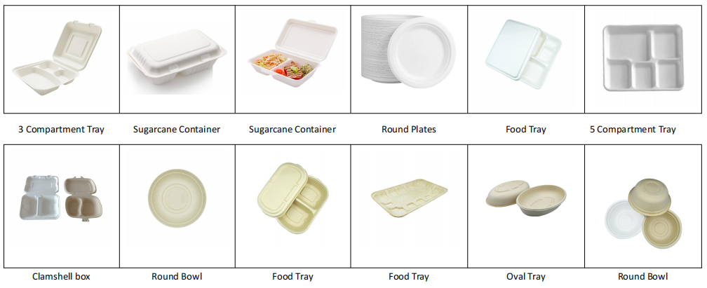 Custom Small Pulp Molding Equipment Molded Fiber Prototype Machine for Fiber bio trays Clamshell boxes