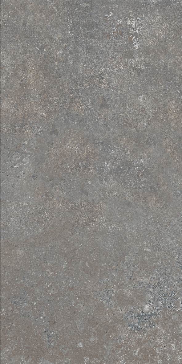 Industrial Grey Office Restaurant Kitchen Outdoor Cement Porcelain Floor Tiles 60*120cm