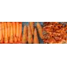 Buy cheap Technology Carrot Daikon Blade Peeler Peeling Machine Equipment for Central Kitchen from wholesalers
