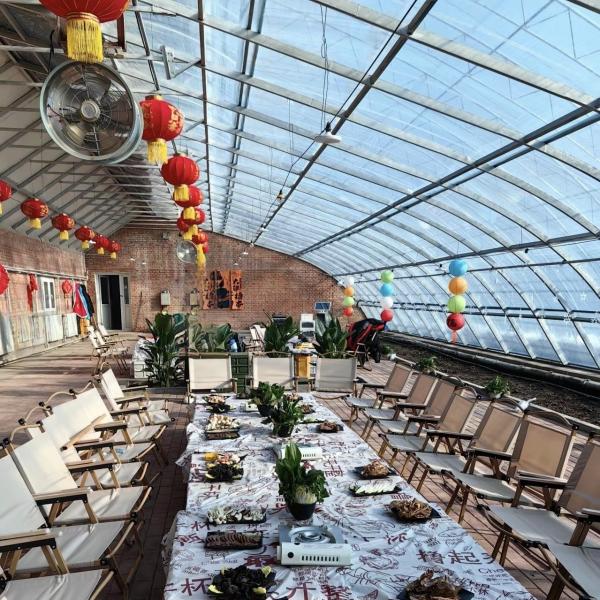 Buy cheap Shipping Cost and Estimated Delivery Time for Commercial Hydroponic Seeding Greenhouse from wholesalers