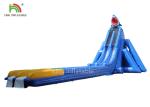 Anti - Tear Beach Giant Inflatable Water Slide Blue Double Lanes For Adults