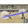 Buy cheap Customized Popular Clear TPU Bubble Ball Football Hand Printing from wholesalers