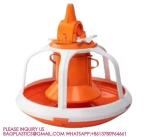 Agricultural Products Automatic Chicken Feeder Agricultural Greenhouses Animals