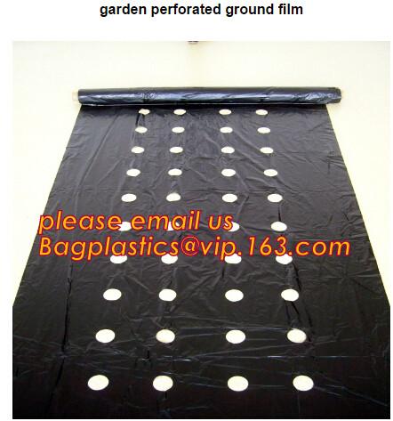 perforated ground film, Vapor Barrier film, Greenhouse film, Agricultural Panda