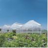 Buy cheap Venlo Commercial Multi Span Steel Structure Polycarbonate Sheet Greenhouse from wholesalers