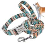 Heat Transfer puppy harness and leash rubber mixture available