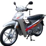 Stylish 110cc Road Legal Mini Moto Underbone Cub With Brushless Motor