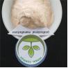 Buy cheap grapefruit juice powder buy best dried organic grapefruit powder uses health benefits supplement products capsules tabe from wholesalers