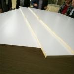 High End Cabinet 18mm E0 Glue Melamine Faced Plywood