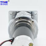 TYHE DC Spur Gear Motor 5000rpm 12V DC Gear Motor High Torque