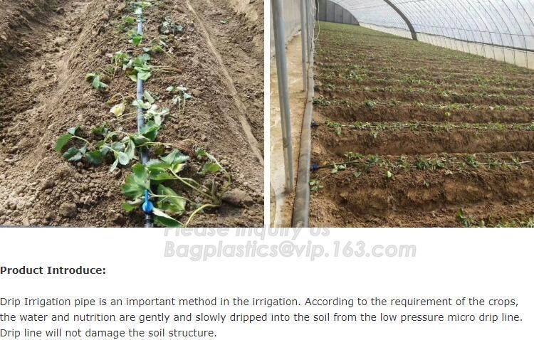Transparent / Black / Silver / White color Plastic PE LDPE Agriculture Mulching Film,panda strawberry mulch film/black w