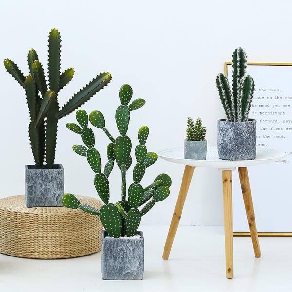 Buy cheap Fashion Cactus And Succulent Fake Plastic Plant For Home Decoration from wholesalers
