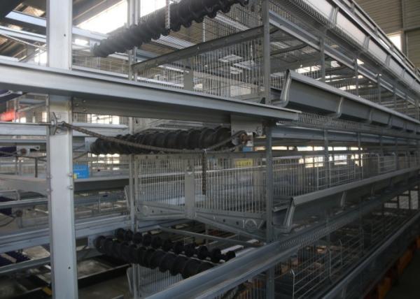 Buy cheap Layer Chicken Farm Tools Broiler Farming In Cage System Science Design from wholesalers