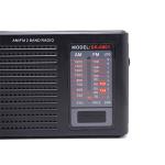 Outdoor Elder Desktop AM FM Radio Station 108MHZ With Lanyard