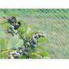 Buy cheap Agricultural Diamond Anti Bird Netting For Protecting Crop And Flower from wholesalers