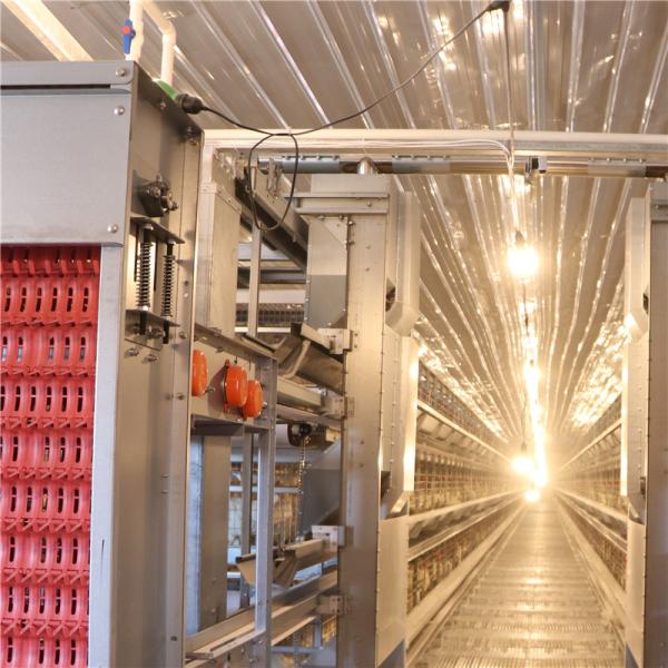 Buy cheap Free Layout Design Egg Layer Cage H Type Galvanized from wholesalers