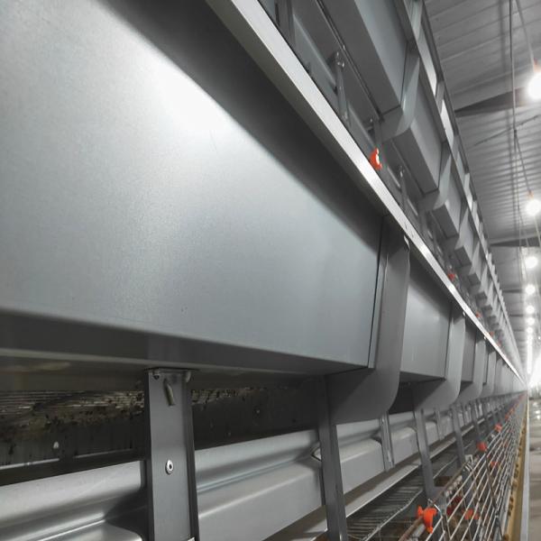 Buy cheap H Frame Battery Broiler Chicken Cage Hot Galvanized Steel Wire Mesh from wholesalers