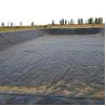 Buy cheap Fish Pond Shrimp Pond Dock Engineering Reservoir Geomembrana Waterproof Membrane Dam Liner from wholesalers