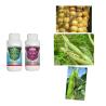 Buy cheap Agrochemical Microbial Emamectin Benzoate Insecticide For Fruit Trees from wholesalers