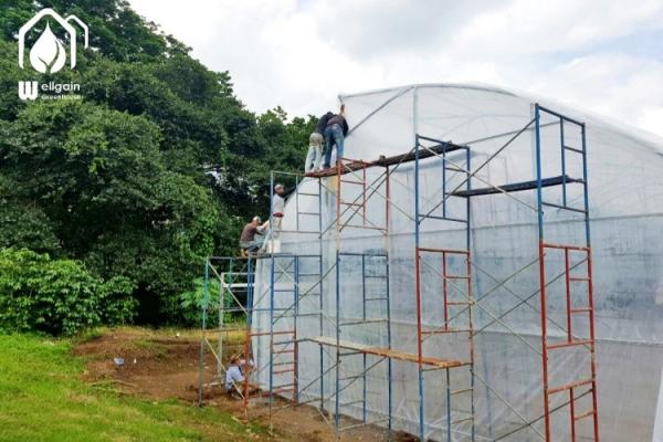 Buy cheap Commercial Tunnel Multi Span Greenhouse High Yield Cultivation Greenhouse from wholesalers