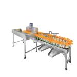 Waterproof 12 Grades Multi Conveyor Belt Weight Sorter Machine For Fish