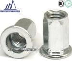 Buy cheap Flat Head Tubular Rivet , Inside & Outside Hexagon Threaded Insert Nuts from wholesalers