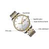 Buy cheap Collection Automatic Wrist Watch Japan Movt , Automatic Sapphire Watch 24mm Band Length from wholesalers