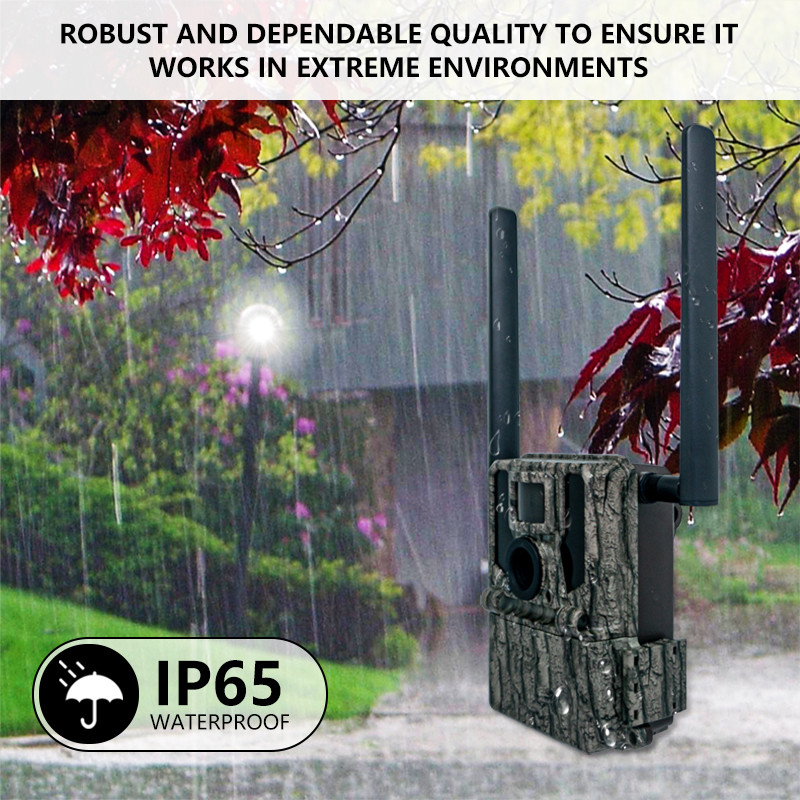 KW897 WILDLIFE CAMERA TRAIL WIRELESS DUAL-ANTENNAS HUNTING 4G NIGHT VISION REMOTE CONTROL WATERPROOF 2K VIDEO SD MEMOR