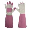 Buy cheap Rose Pruning Elbow Heavy Duty Gardening Gloves Ladies Abrasion Resistant from wholesalers