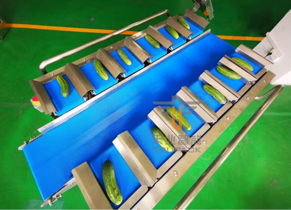 Buy cheap Cucumber PLC 12 Belt Fruit Multihead Weigher from wholesalers