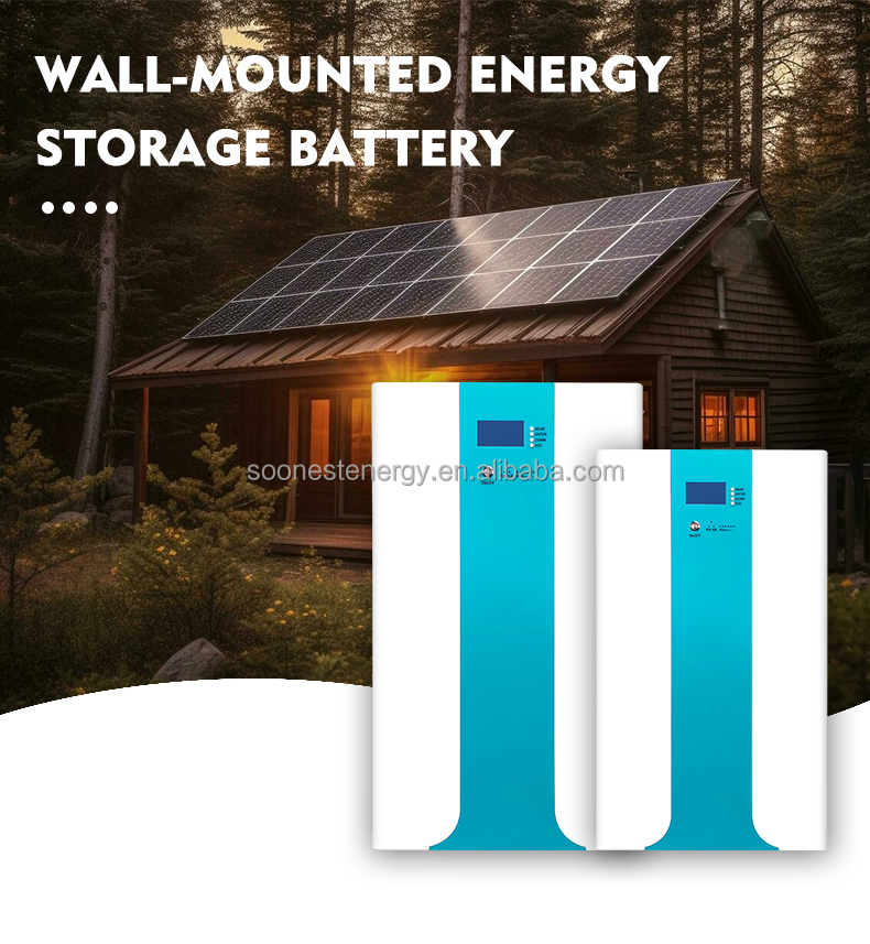 51.2V Lithium Ion Battery Pack 48V Price Lithium Battery Pack For Home Energy Storage Fepo4 Household Energy Storage