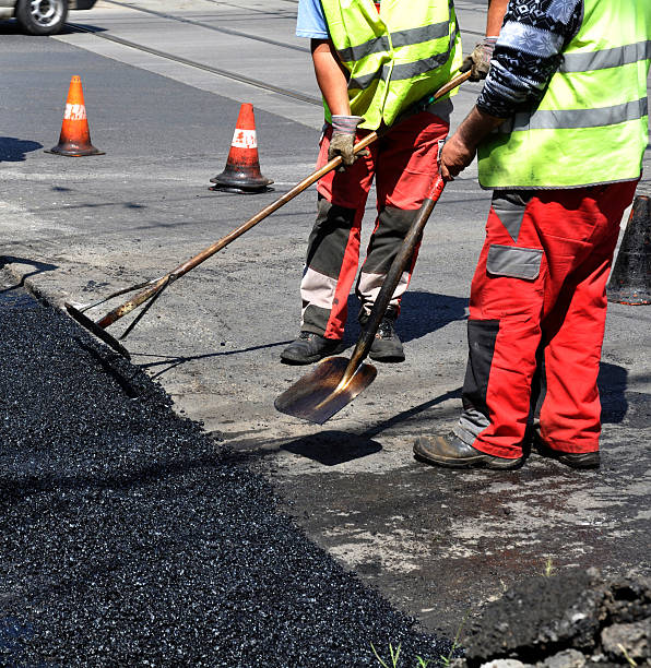 Flocculated Lignin Fiber Cellulose Fiber For Asphalt Modern For Apartment