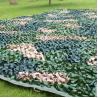 Buy cheap Woodland Camo Net Camping For Vehicle Lightweight Polyester Oxford Digital Outdoor from wholesalers