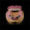 Buy cheap CAM Milled Titanium Bar Dental Implant Hybrid Prosthesis Dentures from wholesalers
