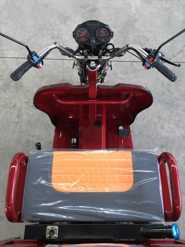 Pedal 1.0m*3.1m 110cc 3 Wheel Trike Moped