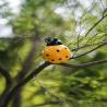Buy cheap Outdoor Ladybug Metal Yard Art Decor Wall Sculpture For Garden from wholesalers