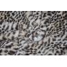 Buy cheap 435GSM 100%P Leopard Print Fabric Wrinkle Resistant 150CM from wholesalers